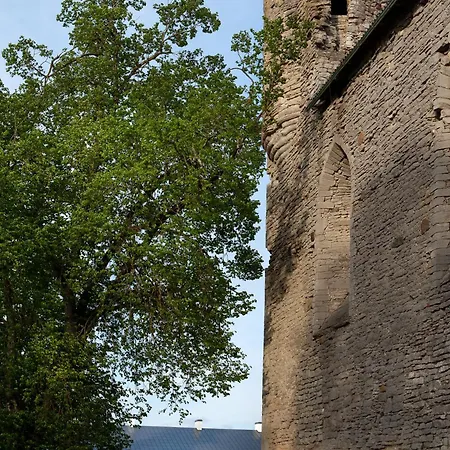 Padise Manor (Adults Only)
